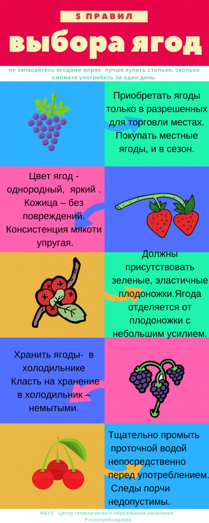 berries 2