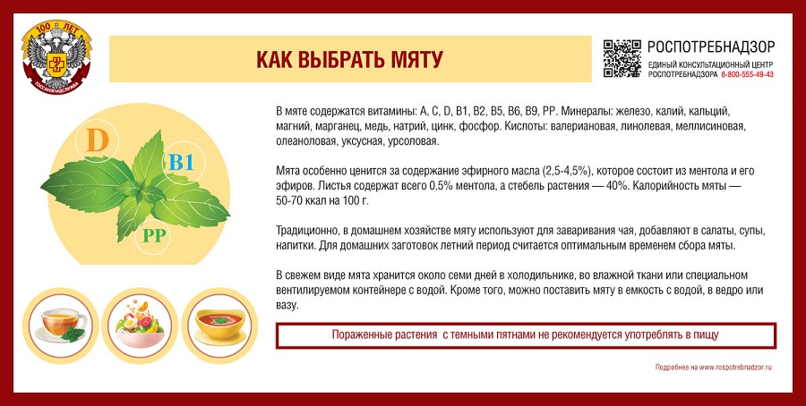 297x150mm Мята