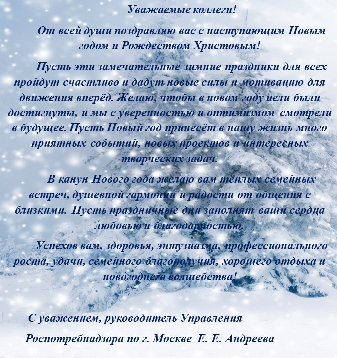 Noviy goood 2024