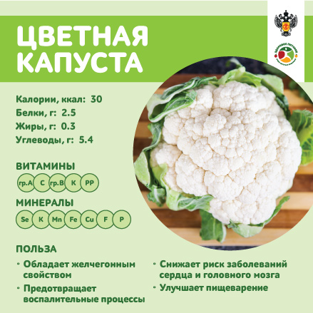TSv Kapusta