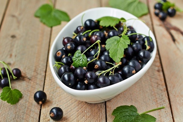 blackberry