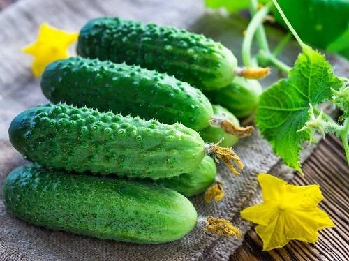 cucumber2021