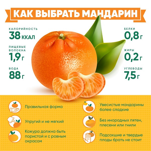 mandarin 2024
