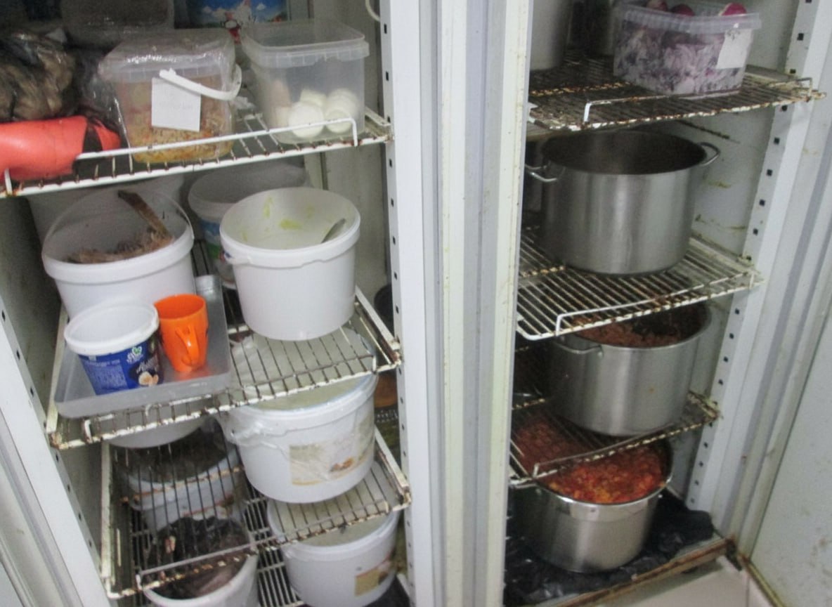 photo 5283278737724083594 y