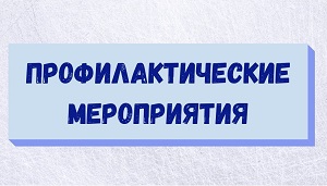 profilacticheslie meropriyatiya banner ITOG